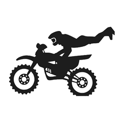 Moto 5